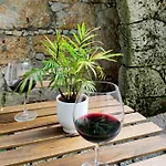 Apartman Historic - With Private Patio Porto