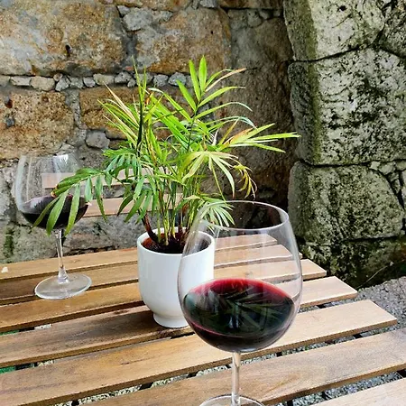 Apartment Historic - With Private Patio Porto
